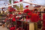 Drivstua&nbsp;blomster&nbsp;jul-11