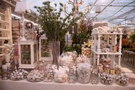 Drivstua blomster jul-21