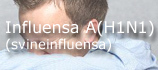 Svineinfluensa Svineinfluensa