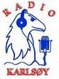 Radio Karls�y_100x134