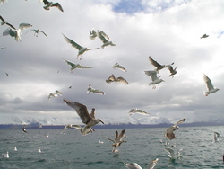 Reinøy 015_400x300