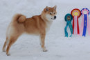 20100213_Oelen_NatsuhimeAvEnerhau