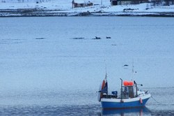 Spekkhuggere i fart_400x266