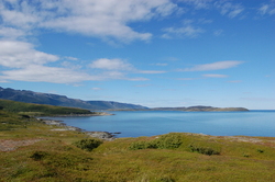 DSC_0250_400x266