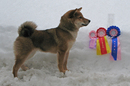 2010-03-06_Nordhordland_BIRvalp_Aangenaam_Suntory_Hibiki