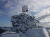 2009_1122Høst090005_100x75