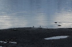 Tjeld ingress (2)_400x259