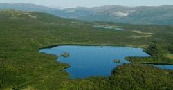 Holmevannet_crop_600x314