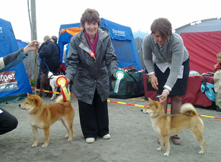 2010 Tromsø 3005 bir bim