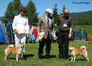 2010-0606_NKKDrammen_IMG_8956 copy