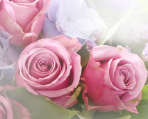 Blomster