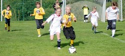 DSC_0138_crop (2)_600x272