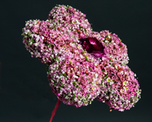Blomster