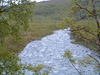 Skogsfjordelva_100x75