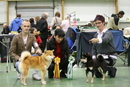 2010-1030_LetohallenBIROGBIM_450x300