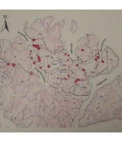 Gullkart_400x533