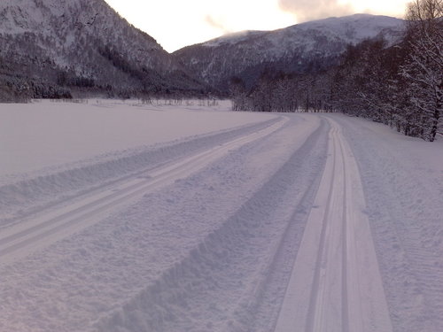 Skispor i Nessadalen