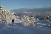 Stemningsbilde i løypa i Saurdal romjul 2010