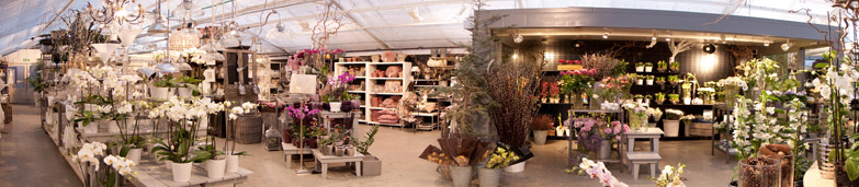 Blomster