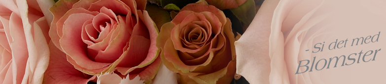 Blomster