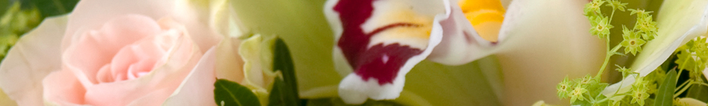 Blomster