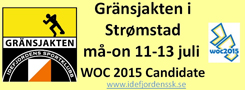 Gr&auml;nsjakten.