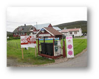 Inngangspartiet