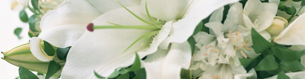Blomster