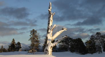 Romjulsstemning i Saurdal, foto jh Romjulsstemning i Saurdal, foto jh