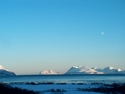 vår