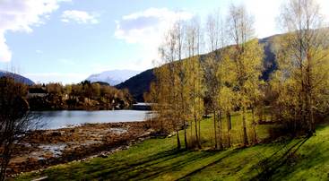 lausprett p&aring; kvams&oslash;y 23. april, foto