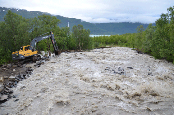Elsneselva