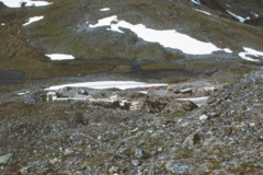 Frøy-2