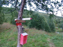 Kasse_400x300