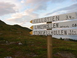 Fjellstien 2_400x300