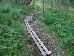 Vandring_400x300