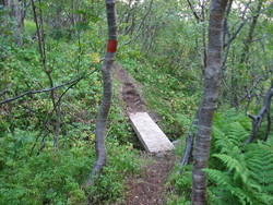Bru_400x300