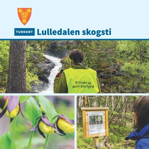 Lulledalen