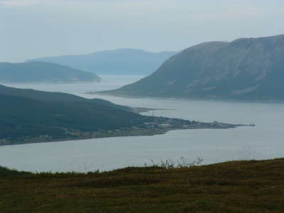 1 1