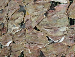 Saltfisk_400x300
