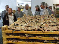 Saltfisk klar til tørking_400x300