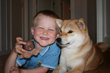 barn og Shiba
