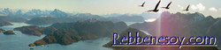 banner_600x136