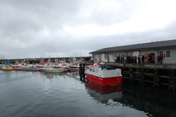 Fiskefl�ten inspiseres_400x266
