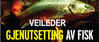 gjenutsetting-lite_100x42