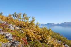 Utsikt nordover_400x266