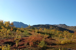 Mot Solvannet_400x266