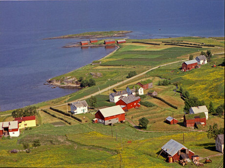 Dyrstad 1961. Flyfoto