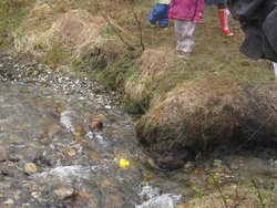 Andeløp_400x300