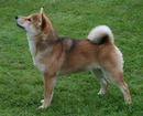 090731HallingdalHK_BIRvalp